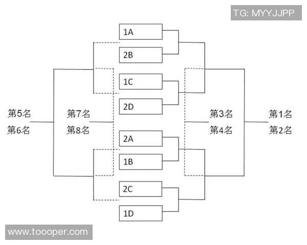 深圳篮球队的运营策略深度分析与市场前景展望