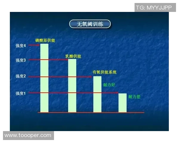 羽毛球战术：南京羽毛球队的反击体系
