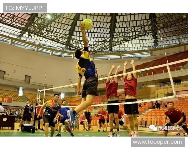 排球专题：聚焦武汉排球队的技术