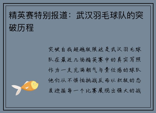 精英赛特别报道：武汉羽毛球队的突破历程